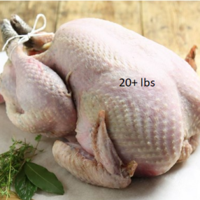 20+lbs Thanksgiving Turkey (Deposit)