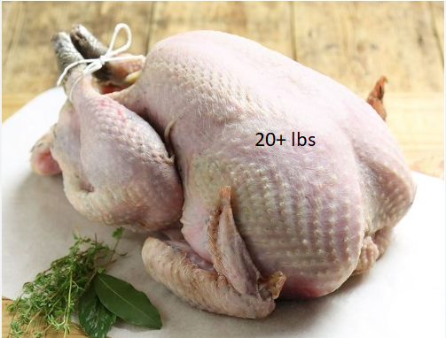 20+lbs Thanksgiving Turkey (Deposit)